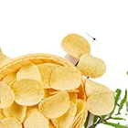 Chips Wholesale 60g Potato Chips With Best Price