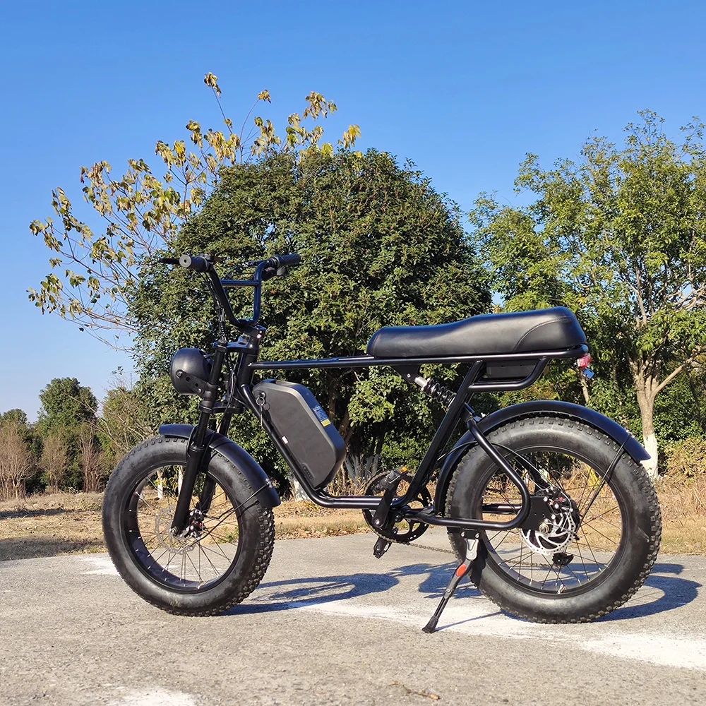 Mario Electric Fatbike Mozo Suspension Front Fork Retro Bicycles 20