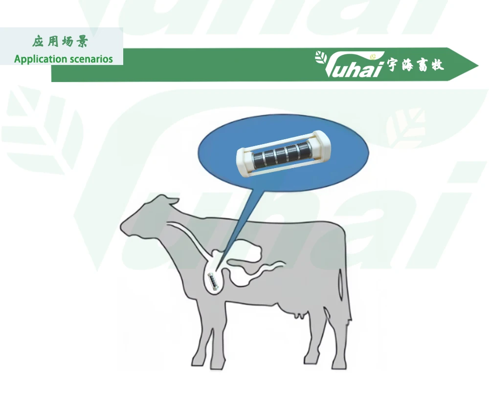 cattle ruminal magnet dairy cow cattle farm strong magnetic cage put into cow stomach iron sucker-2