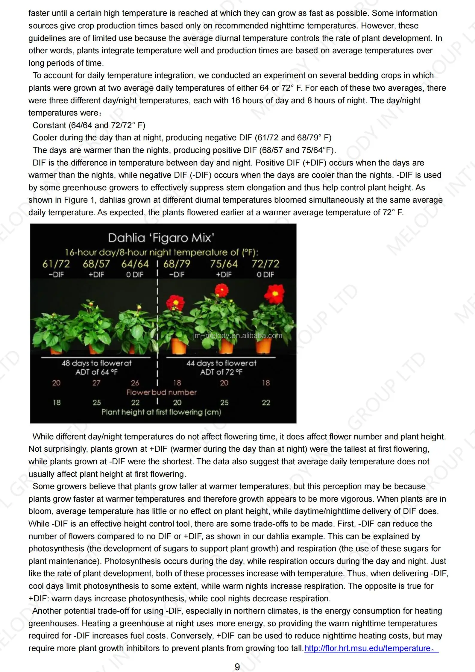 Growth Guide_08.jpg