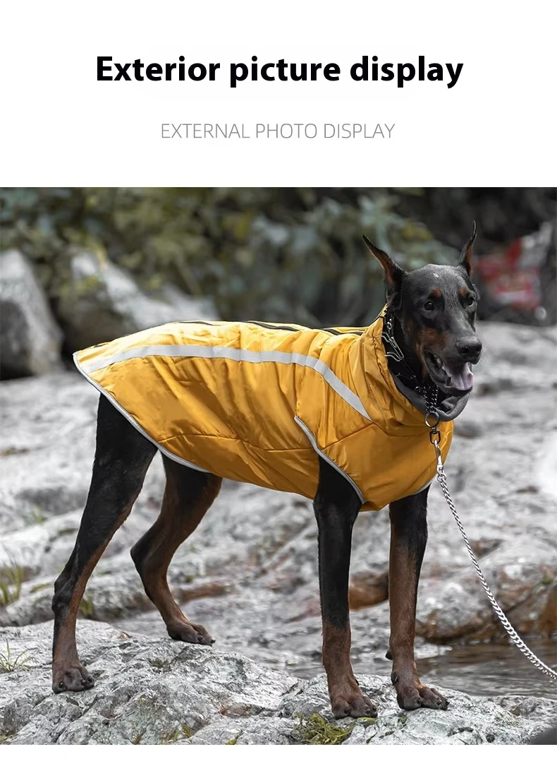 Hot Selling Dog Cotton-padded Autumn and Winter Warm Pet Clothes Thickened Multi-color Ski Waterproof Jacket Pet Products supplier