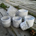 Plant High Quality Home Decorative Garden Flower Cement Flowerpot Plant