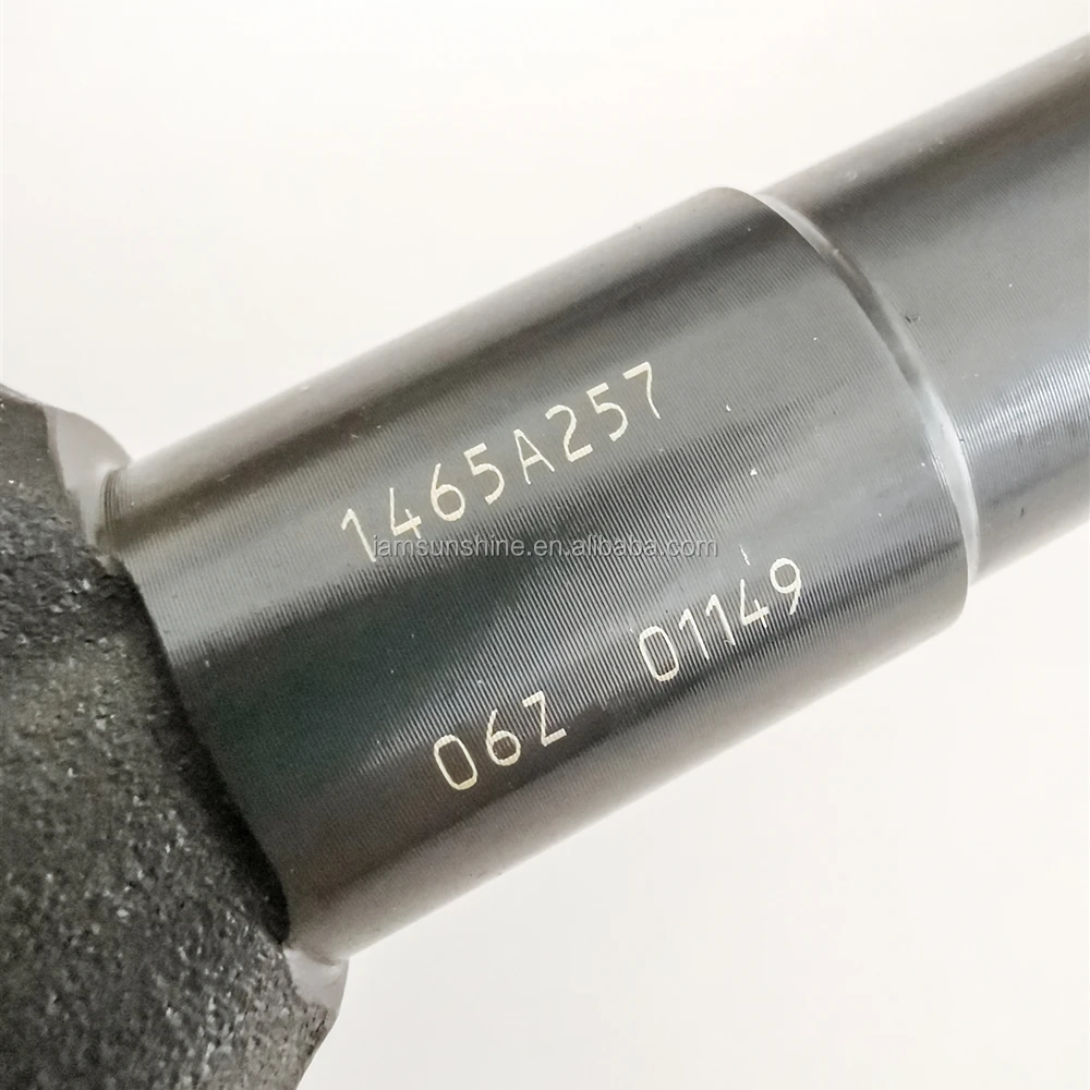 095000-9560 common rail injector 0074995001,1465A257,1465A297 made in china