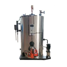 Natural Gas Biogas Diesel Fired Hot Water Heater for Winter