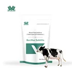 Probiotics Bacillus Subtilis 100 Billion Feed Grade