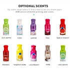 Deodorant Room Spray Scent 480ml Flower Scent Deodorant Home Room Perfume Aerosol Spray Air Freshener