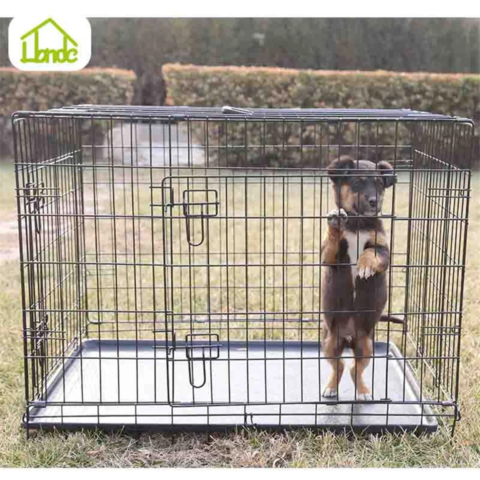 buy dog cage near me