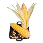 Natural Corn Popular Brand Easy Open Good Taste Natural Food Canned Sweet Corn For Favorable Price