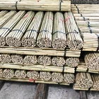 Bamboo Cane Bamboo China Hot Plant Raw Bamboo Stake Nature Moso Bamboo Poles Cane For Sale