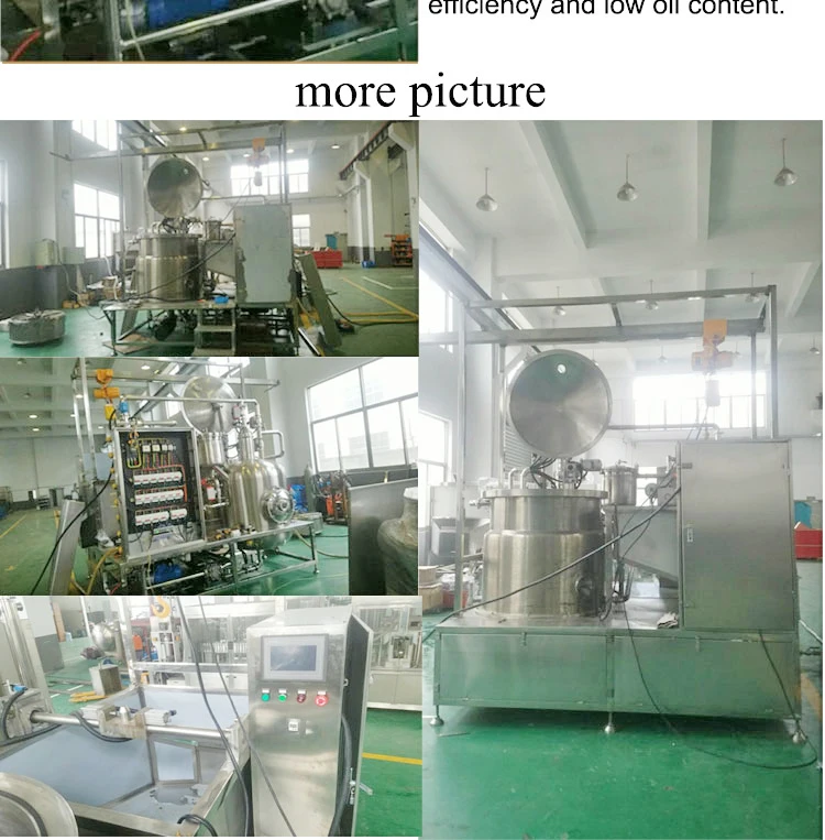 10 Kg Per Batch Small Fried Mushroom Fruit and Vegetable Apple Chips Vacuum Frying Machines Snacks Vacuum Fryer manufacture