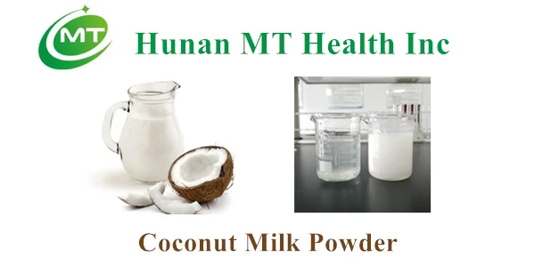 Coconut Milk Powder