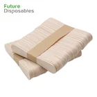 Wooden Stick Compostable Birch Wooden Ice Cream Stick Popsicle Crafts Stick