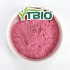 Instant Beverage Concentrated Instant Strawberry Juice Powder For Beverage