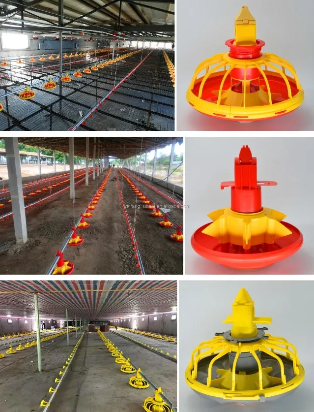 high quality automatic chicken farm for commercial poultry house