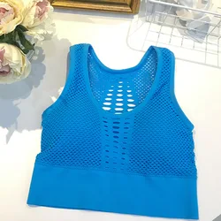 Wholesale Wrapped Breast Tube Top Underwear Ladies Pure Color Breathable Mesh Vest Exercise Running Yoga Bra