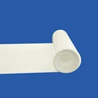Plastic Filled Ptfe Sheet Filled White Plastic PTFE Sheet