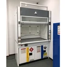 Hot Selling Steel Fume Hood Cupboard For Laboratory Use Fume Cupboards With Filter