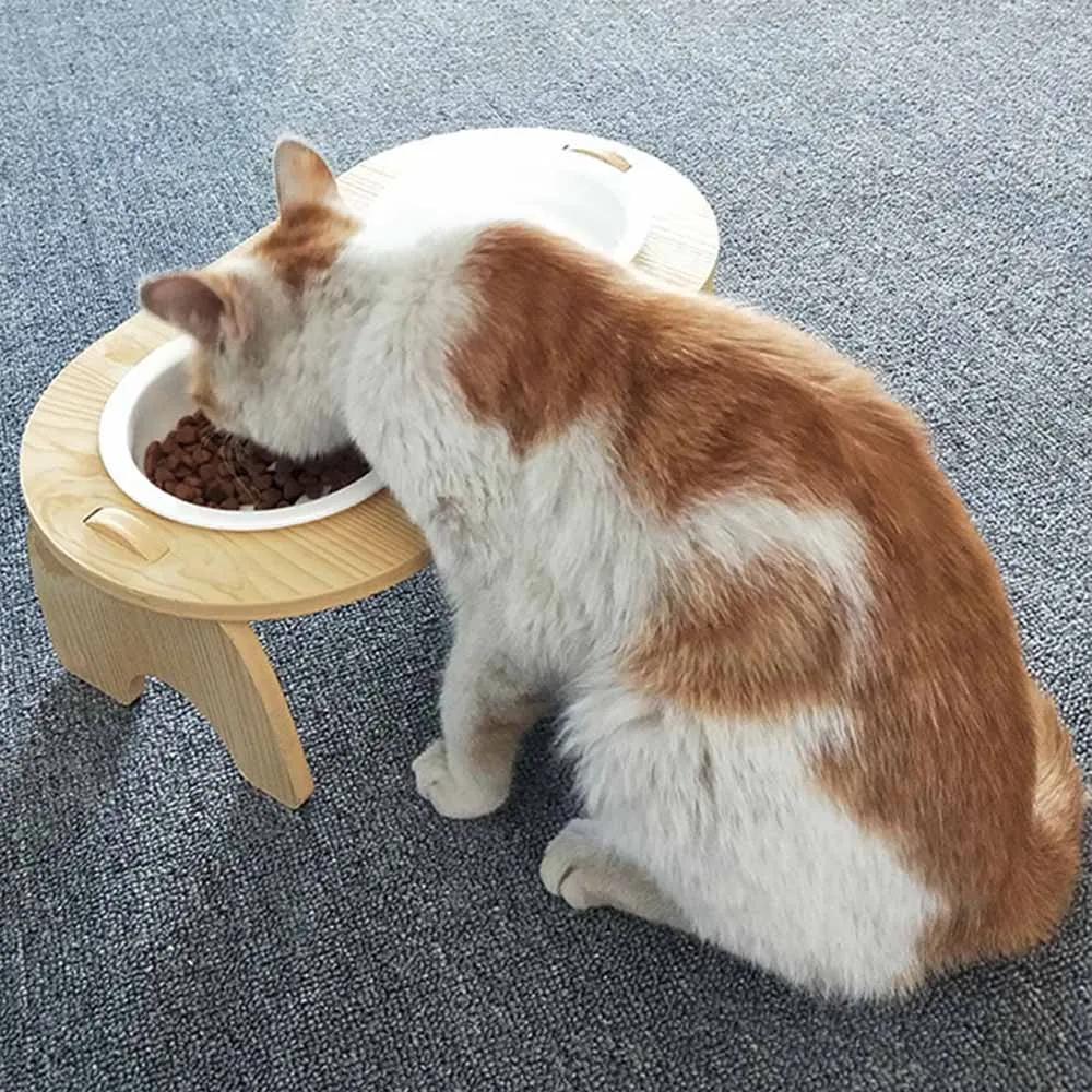Ceramics Dog bowl/Cat bowl (1)