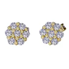 Earrings 2021 Fashion 18K Gold Silver Plated Iced Out Cubic Zirconia Stud Earrings For Women Girls