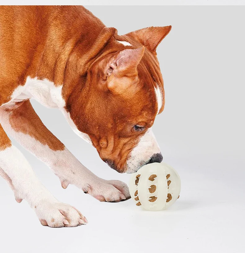 New Hot Selling Glow-in-the-dark Dog Toy Ball Bite-resistant Teeth-grinding Toys Leaky Food Pet Toys Pet Supplies factory