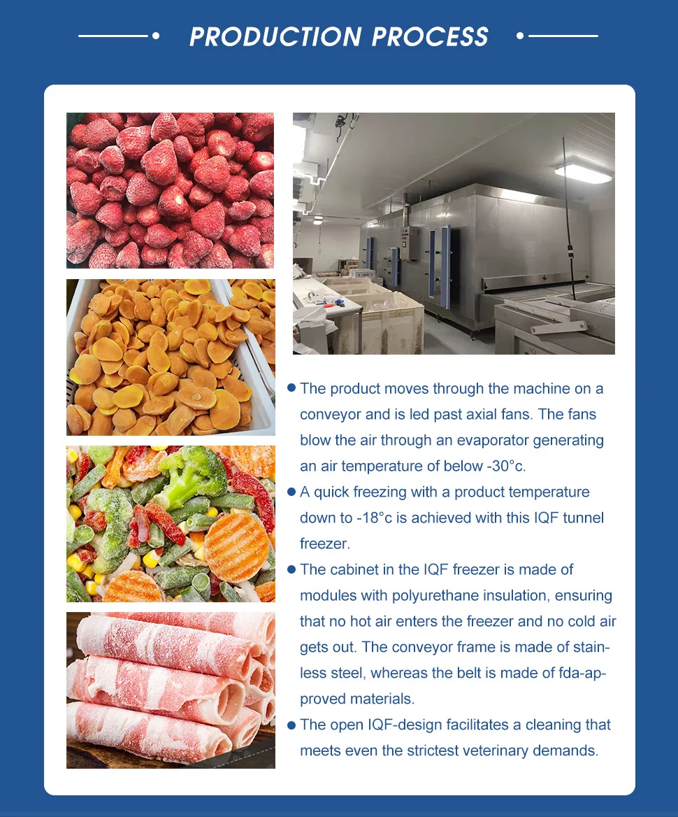 Spiral Freezer, 35C, 220v, 100-3000KGH - detail 8