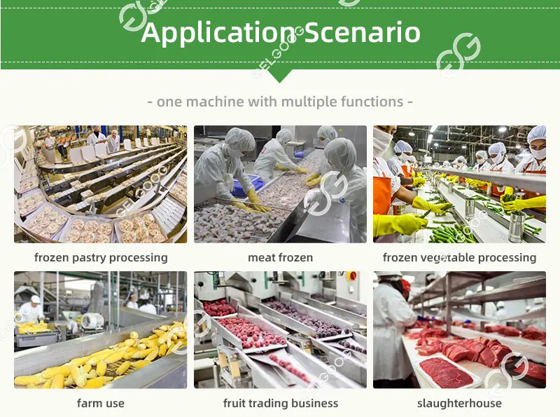 Strawberry with Nitrogen Freezer, IQF, 380V, sus304 - detail 6
