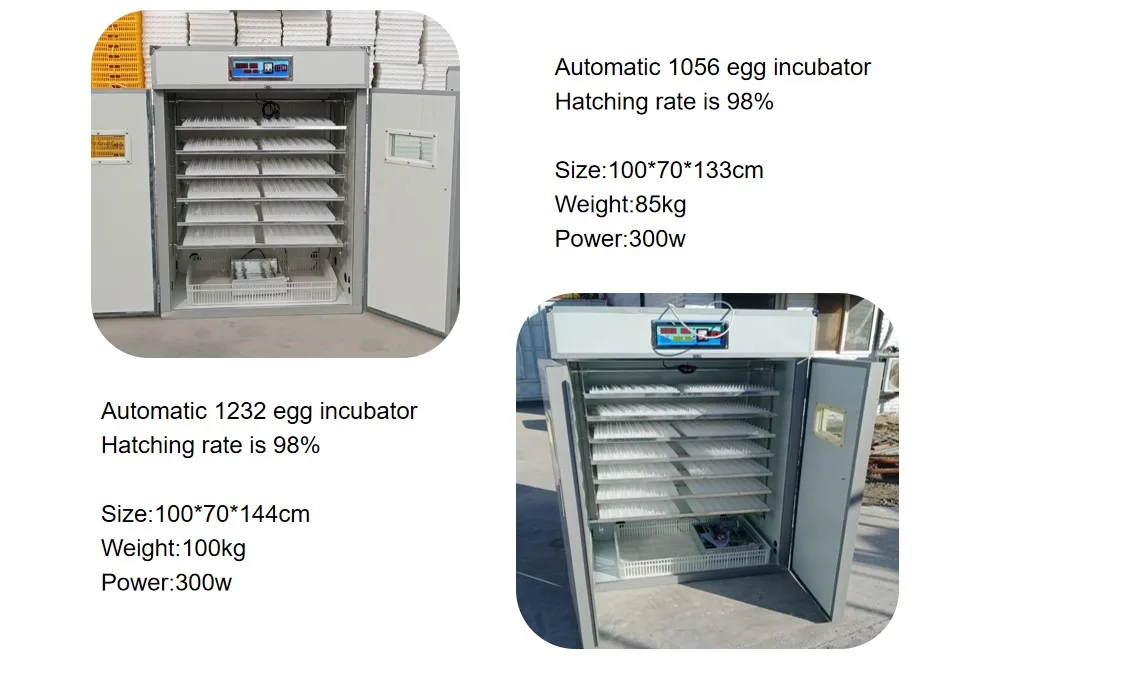 1056 incubator 4.jpg