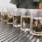 Eu Tea Factory Wholesale EU Standard Flowering Tea Hand Made Flower Blooming Tea