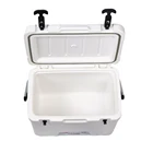 Wine Blood Cooler Box 10L Small Blood Vaccine Wine Transportation Ice Cooler Box