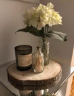 Gift Wholesale Large Round Paulownia Wood Trunk Slice For Child DIY Gift Home Decoration And Christmas Ornament
