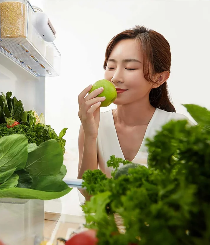 Wholesale EraClean Fridge Deodorizer: Unleash the Potential of Freshness and Profit