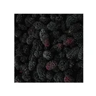 Iqf Iqf 2021 100% Natural Green Organic Fruit BRC IQF Mulberry With Cheap Price