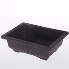 Bonsai Tree Pot Bonsai Mini Bonsai Pot Pot Of Bonsai Tree Bonsai Pot