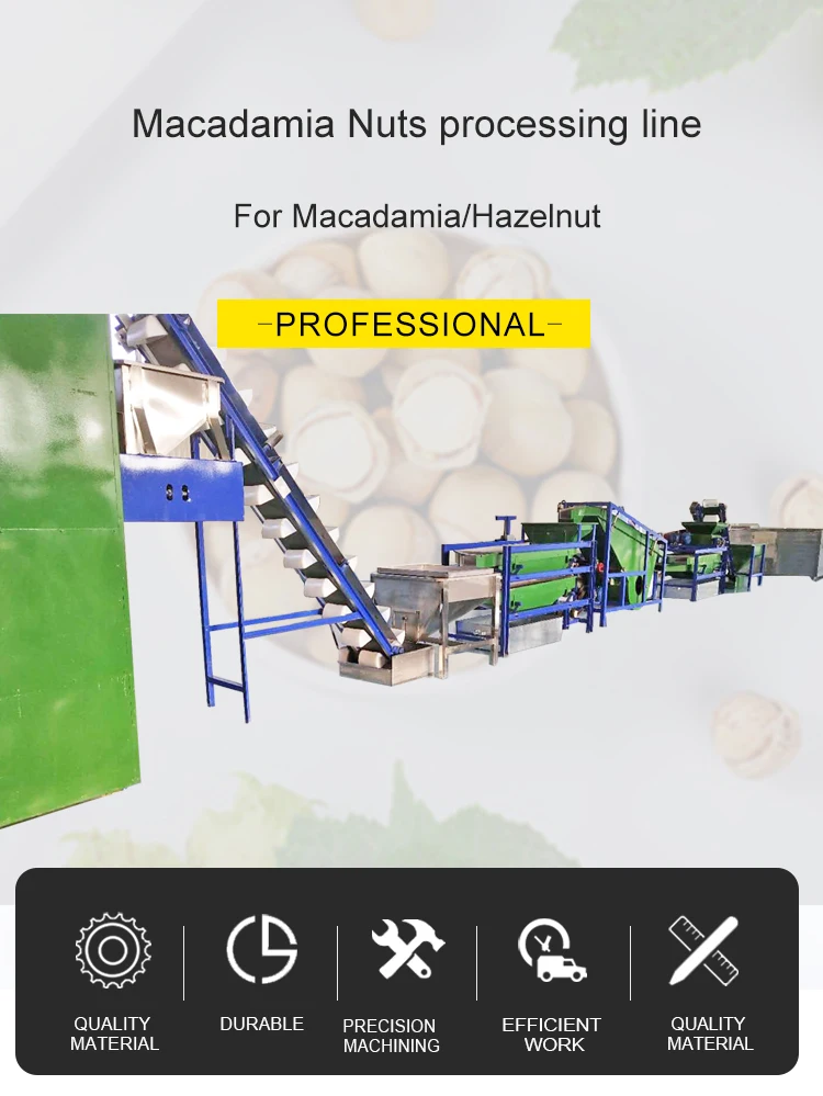 Nut Hazelnut Cracking Shelling Drying Machine Macadamia Processing Plant supplier