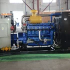 Gas Generator Gas Generator Sawdust Combustion Gasifier And Gas Generator Set
