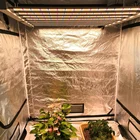 Led Grow Light 2020 Hot Sale Full Spectrum 660W LED Grow Light Replacing 1000w HPS/HID/CMH