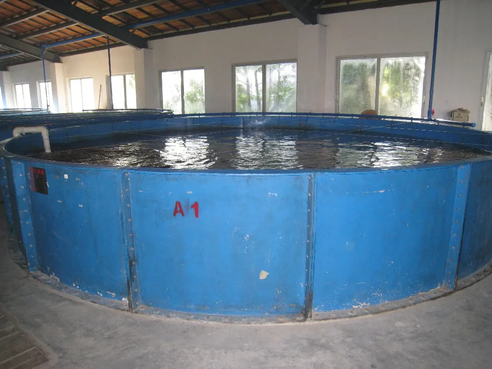 水产养殖商业水族馆圆形玻璃纤维玻璃钢养鱼ras系统水箱水泵鱼塘