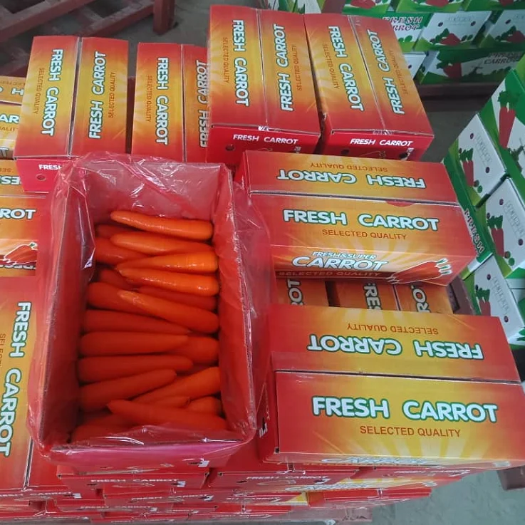 carrot.png