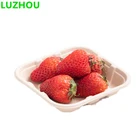 Quality Selection High-quality Environmentally Friendly Food Tray Fast Food Snack Fruit Tray