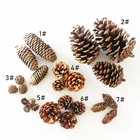 Natural Factory Wholesale High Quality Natural Pinecones For Christmas Ornaments Shooting Props Dried Flowers