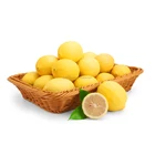 Fruits Montale Excellent Quality Best Price Fruits From Our Farm Lime Lemon