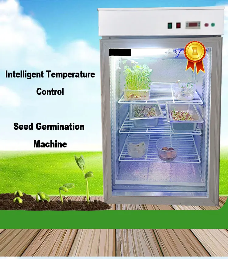 Automatic Germination/Barley Wheat Seeds Germinating Machine/Fodder Sprouting Machine Pasen Machine for Seeds Germ manufacture