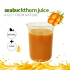 Beverages Drinks Wild Raw Sea Buckthorn Berry Juice For Beverages And Pulp Drinks