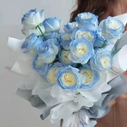 Flower Shop Packaging Materials Fresh Flower Color Spray Dye Fresh Floral Spray Paint