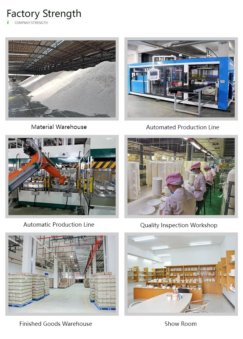 Kids Bpa Free Plastic Lunchbox Microwave Safe Leakproof Bento Lunch Box