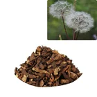 Root Dandelion Root Tea Dandelion Root Extract Dried Dandelion Day Natural
