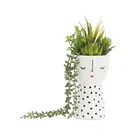 Artificial Hot Sale Succulents Pick Assorted Faux Succulents Plant Mixed Single Hanging Artificial Succulent Arragement