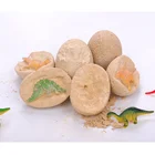 Toys Toys Educational Kids Non-Toxic Safely Dig It Out Excavation Kit Dinosaur Egg Excavation Kit