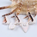 Sea Shell High Polished White Color Seashell Natural Craft Loose Cowrie Sea Shell