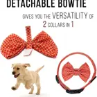 Fit Cat Customized Bowtie Collar | Custom Fit For XS Small Medium Large Dog Cat Puppy